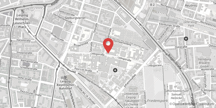 the map shows the following location: Paul Flechsig Institute of Brain Research, Liebigstraße 19, 04103 Leipzig